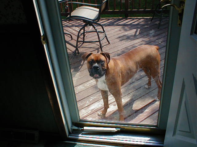Can I Come In?