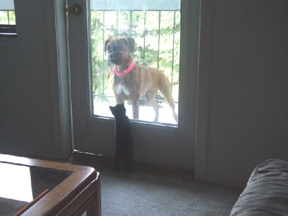 Can I come out too???