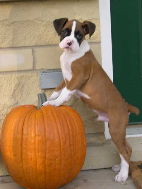 Can I eat this mom?