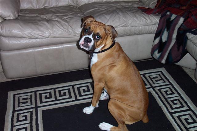 Can I get on the couch now Mom?