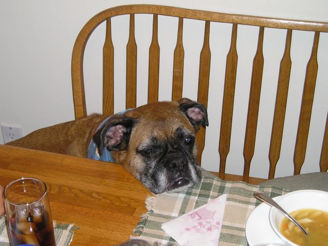 can i get some food too?