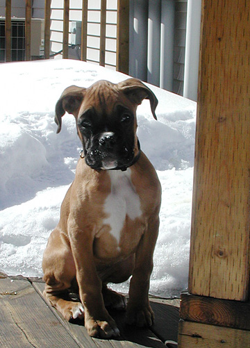 Can I go in now?