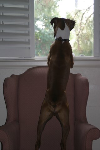 Can I go out to play?