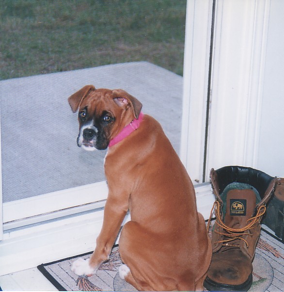 Can I go out?