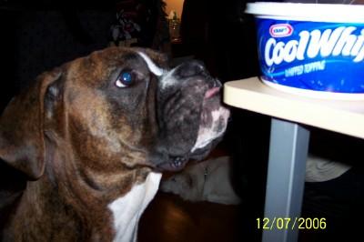Can I have some please!