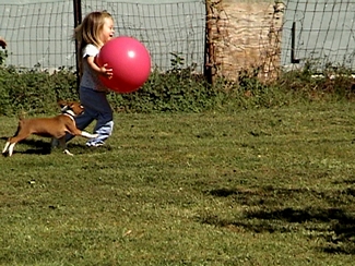 Can I have the ball?