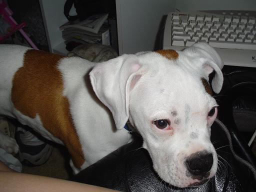 Can I play on the computer???