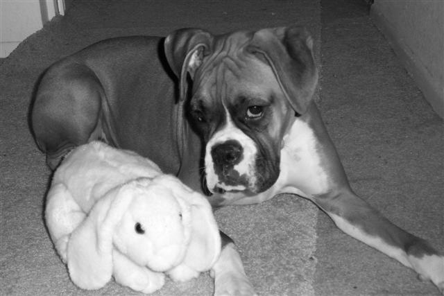 Can I play with it now?