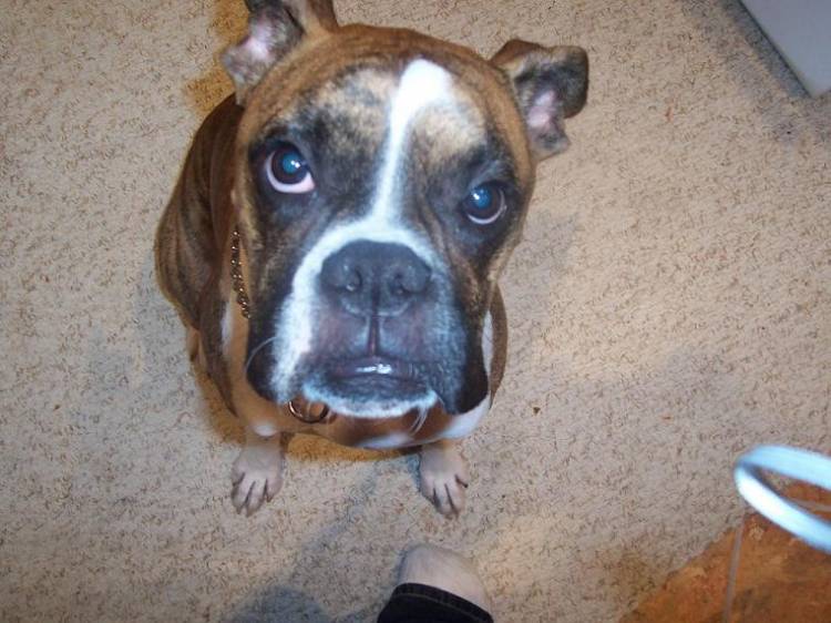 Can I play with that camera now?
