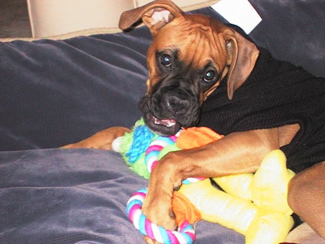 Can I play?