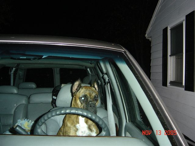 Can I please drive
