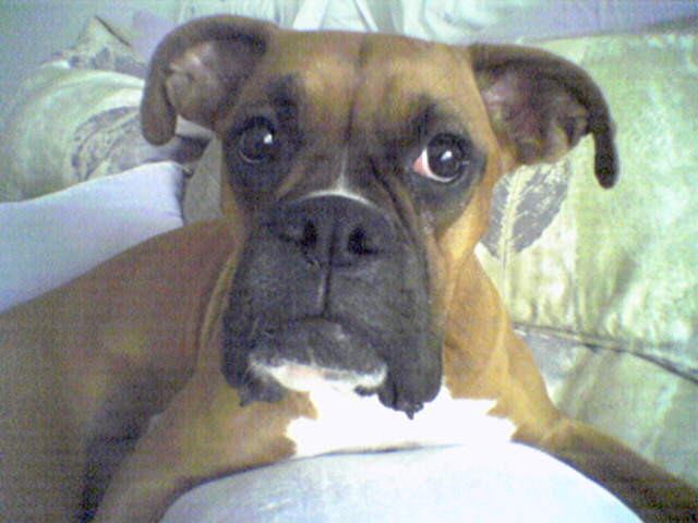 Can I PLEASE got to bed now?