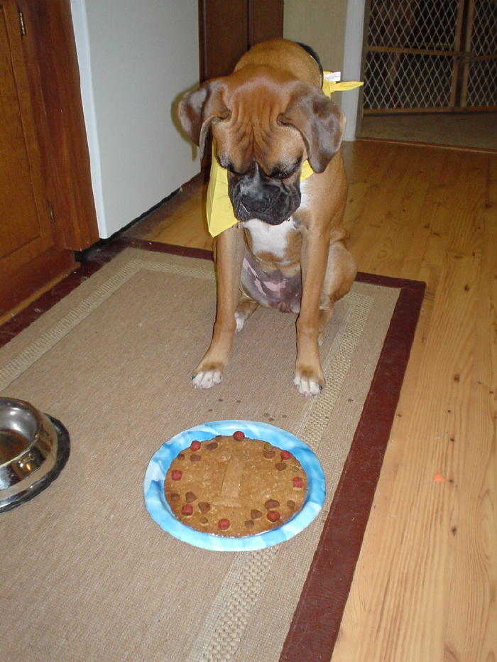 Can I pleeeeeeeeeeze eat it?