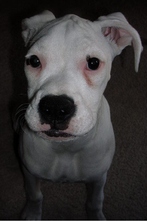 Can I pose some more for you mom?