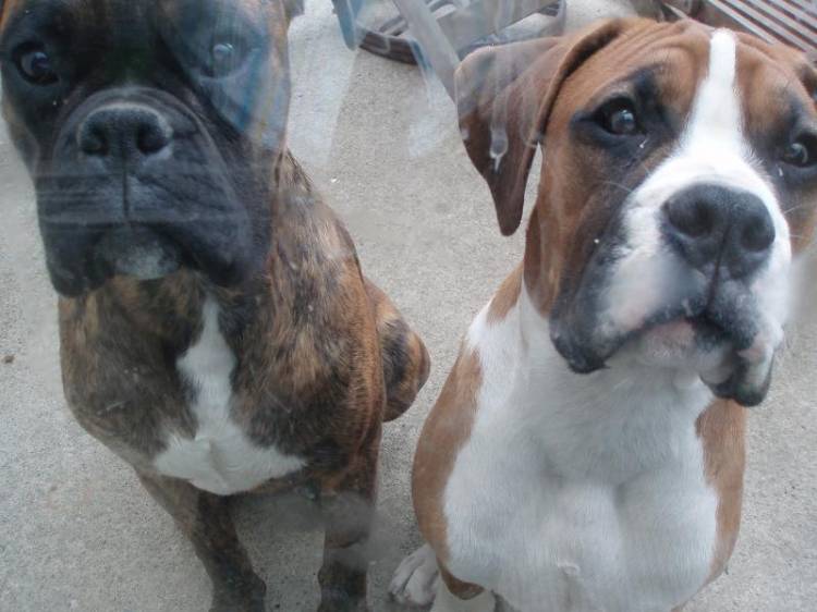 Can we come in?