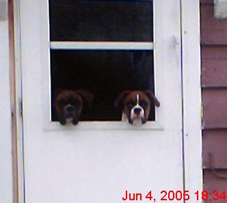 Can we come?