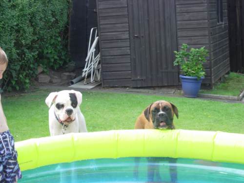 Can we get in too?