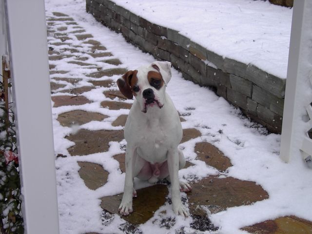 Can we go in yet??