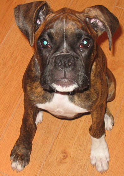 Can we go to the park please?