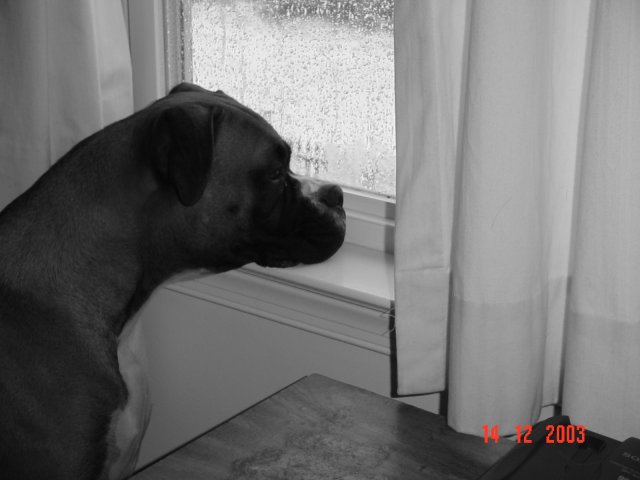 Can we please go out Right now?