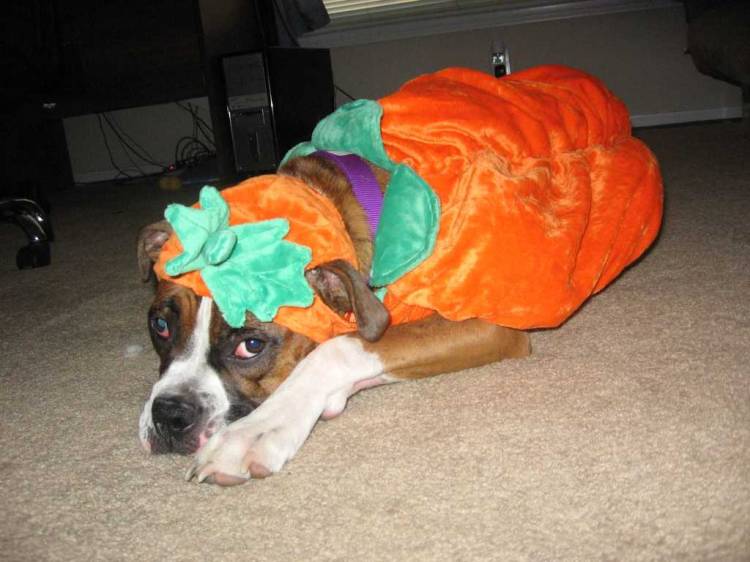 Can we take this off now?