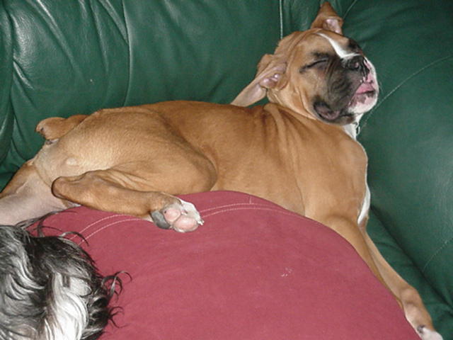 Can you believe this is comfortable?