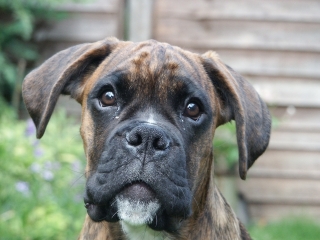 Can you come and Play with me?