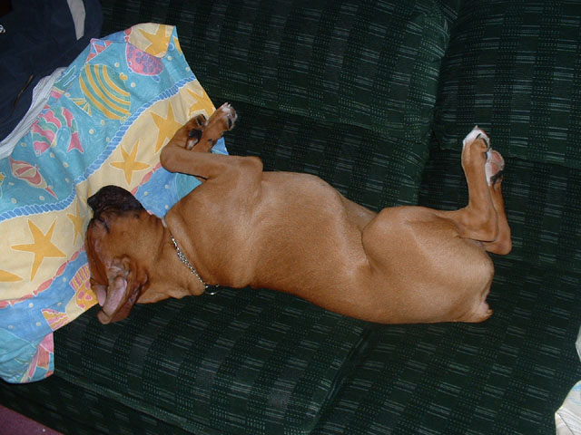 Can you hear me snoring?