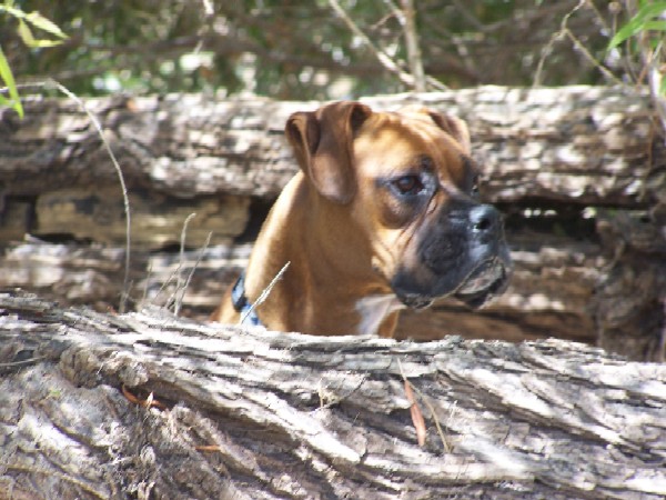 Can you see me now?