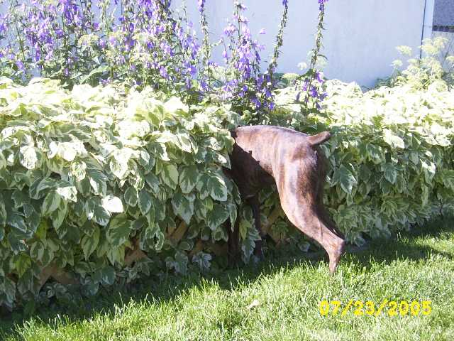 Can you see me?