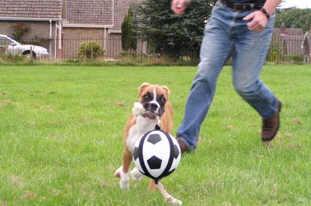 Can't catch me