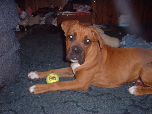 cant have my ball