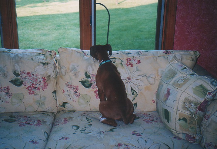 Can't I please go out and play?