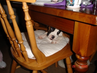 cant quite get up