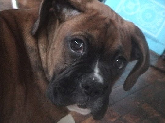 Can't resist this face!!