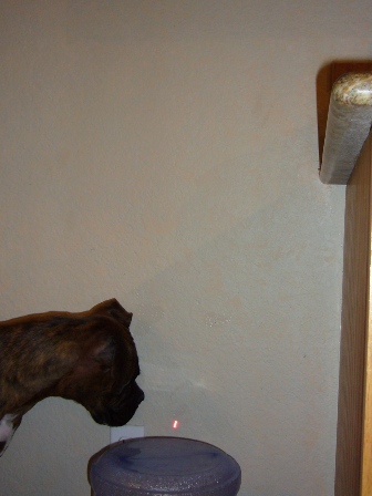 Can't seem to catch that red dot!