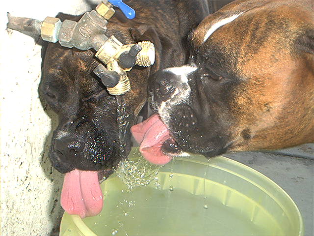 Can't wait for the water bucket to fill up!