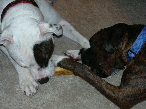 Cant we share?
