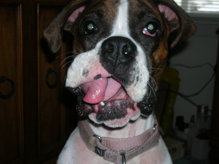 Cany YOU do this with your tongue?