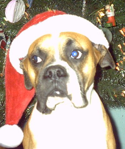 Capone is Santa