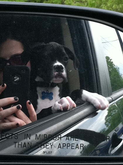 capone_front_seat