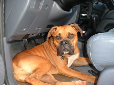 Car Ride