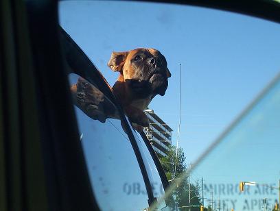 Car ride