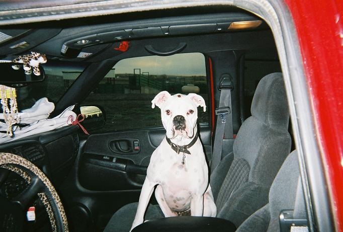 Car Rides