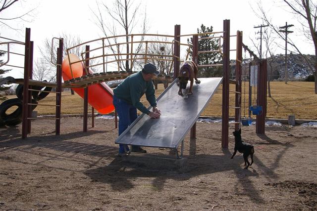 Care to go for a slide?