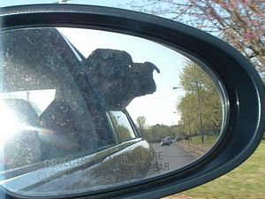 carmirror