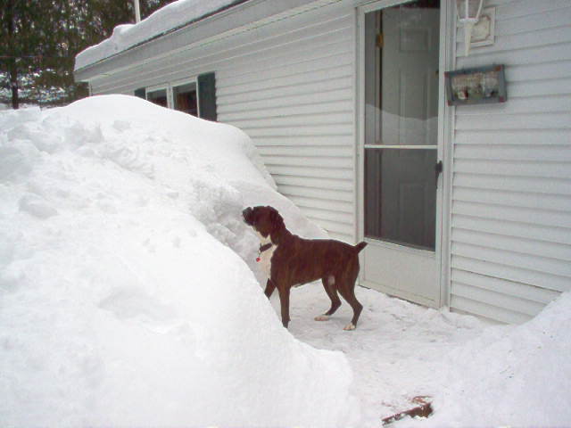Casey at our home in Northern Michigan