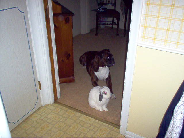 Casey & Jay just sitter around