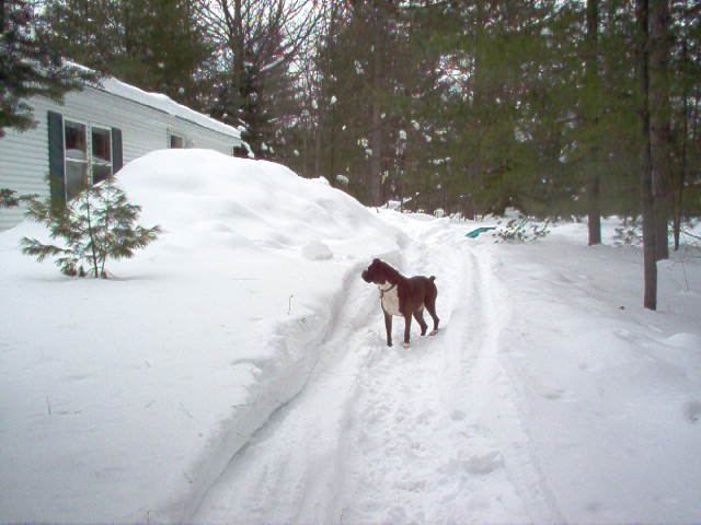 Casey_looking_for_Chris