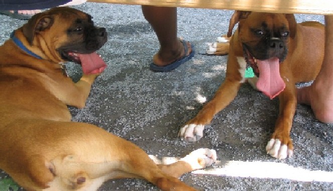 Cash and Millie again